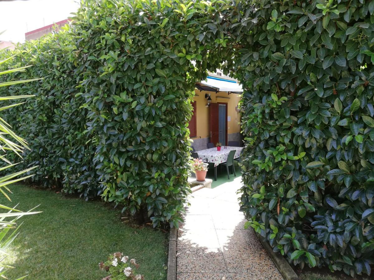 Depandance Con Piscina In Uso In Esclusivo In B&B Sant'Antonio Abate Exterior photo